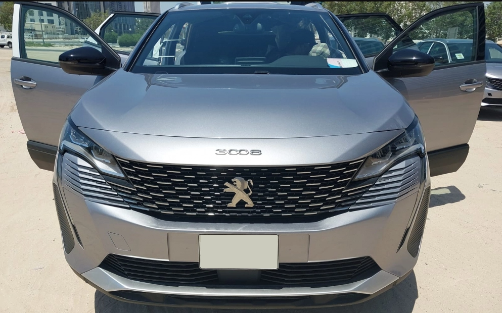 Picture Peugeot 3008 2023-2024 